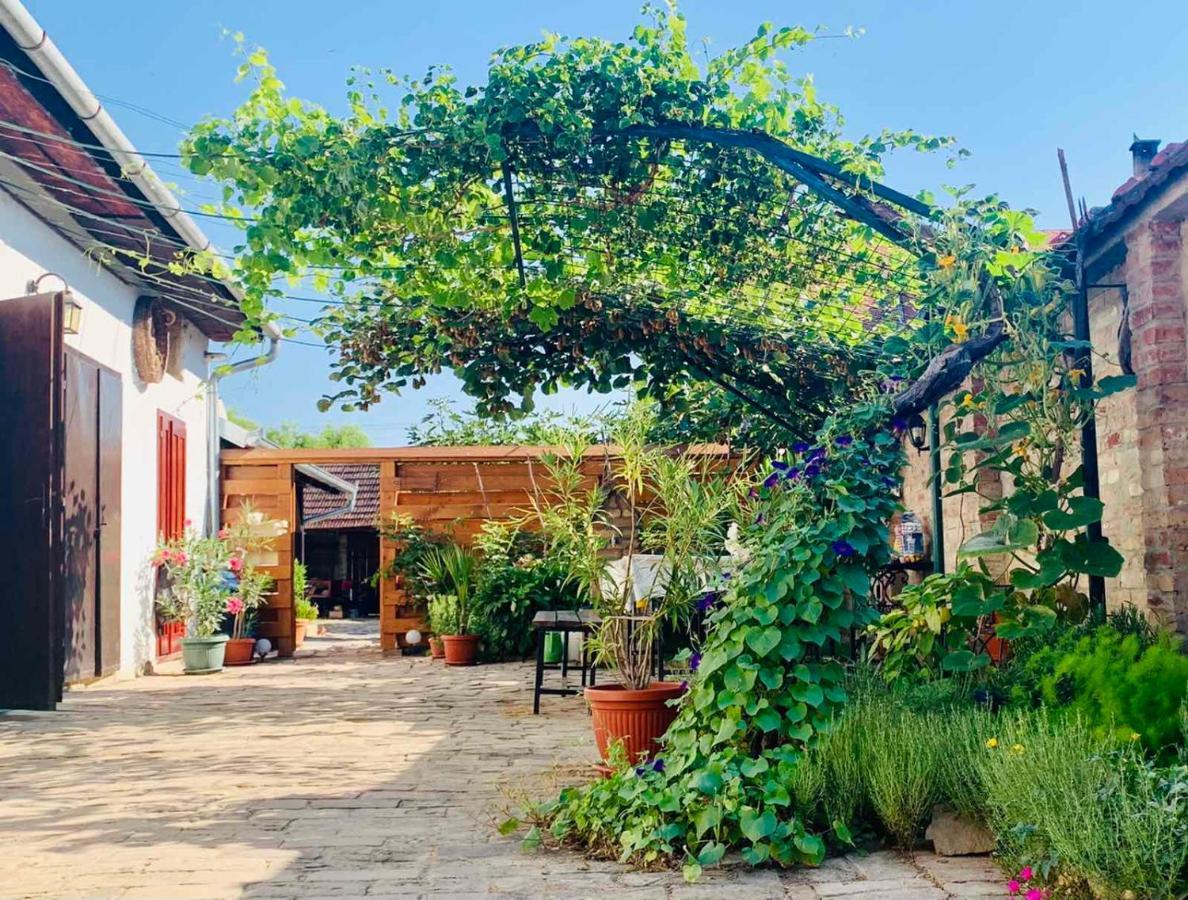 Sobe Gajic Sremski Karlovci Exterior foto