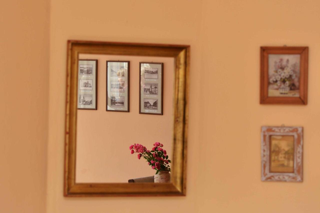Sobe Gajic Sremski Karlovci Exterior foto