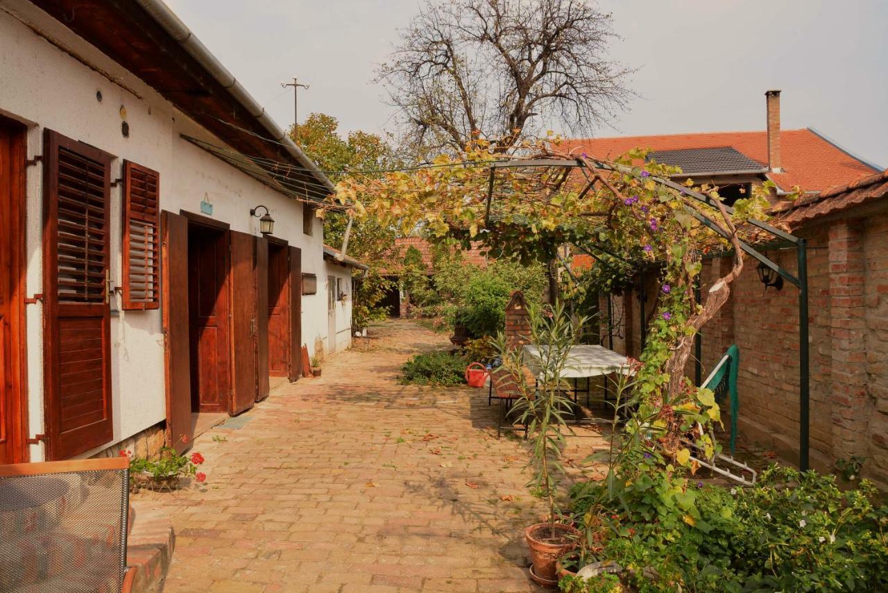 Sobe Gajic Sremski Karlovci Exterior foto